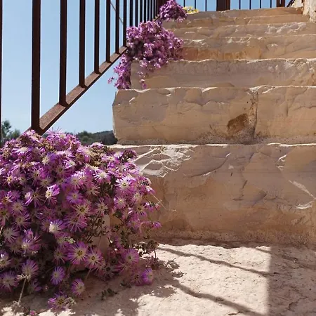 Cipolliane Holiday home Santa Maria di Leuca